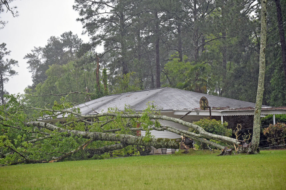 Storm batters Wiregrass